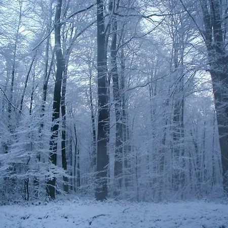 Bed & Breakfast D'hotes La Petite Flambee